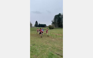 Championnat rional de cross Noyon